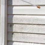 House Power Washing House Power Washing - Essex County Power Wash