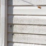 House Power Washing House Power Washing - Essex County Power Wash